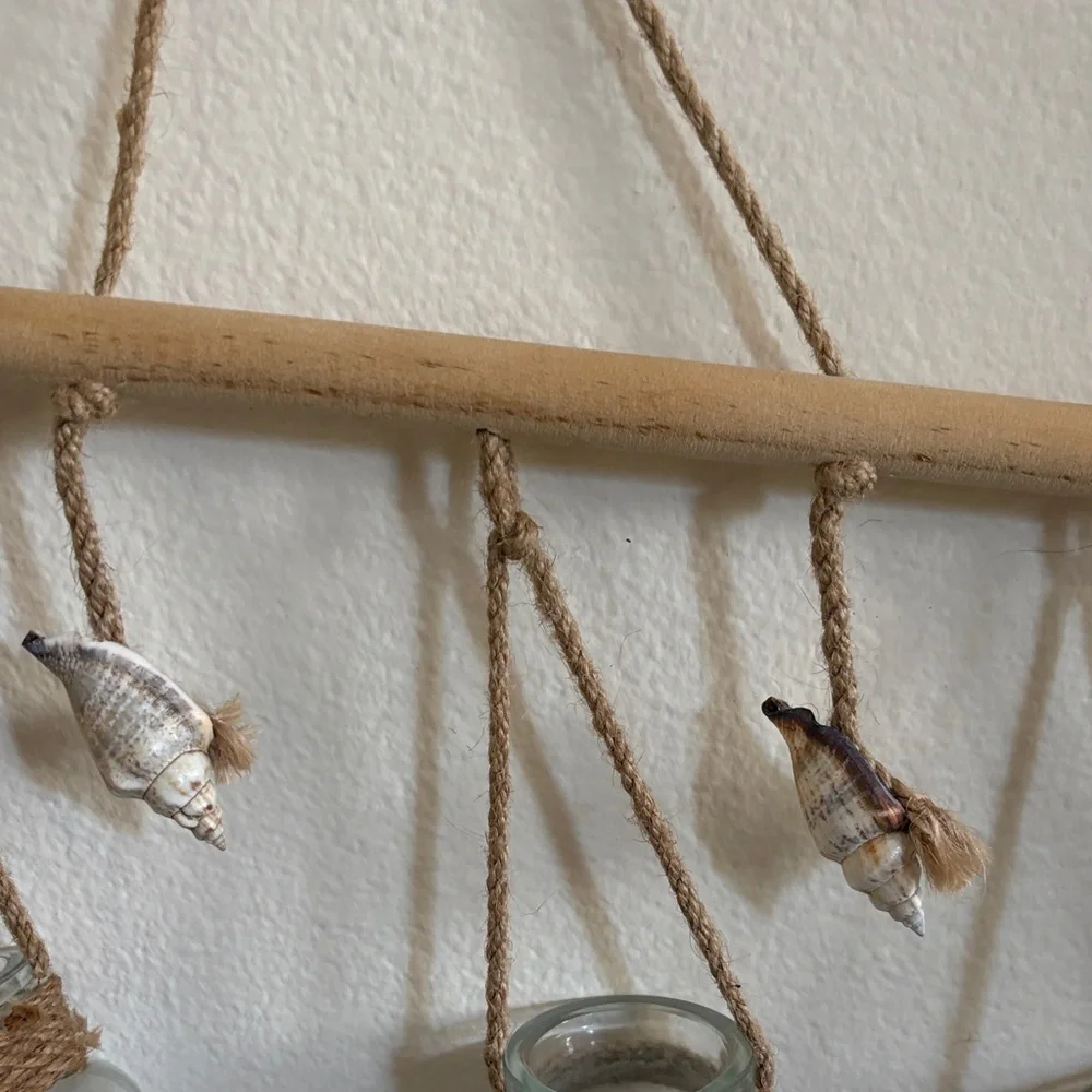 Plant Cuttings Hanging Jars